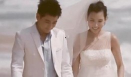 爆料何佳佳结婚视频全集,甜蜜瞬间与温馨时刻回顾