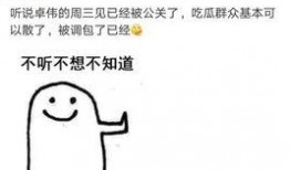 卓伟爆料出狱视频,揭秘其狱中生活与复出之路